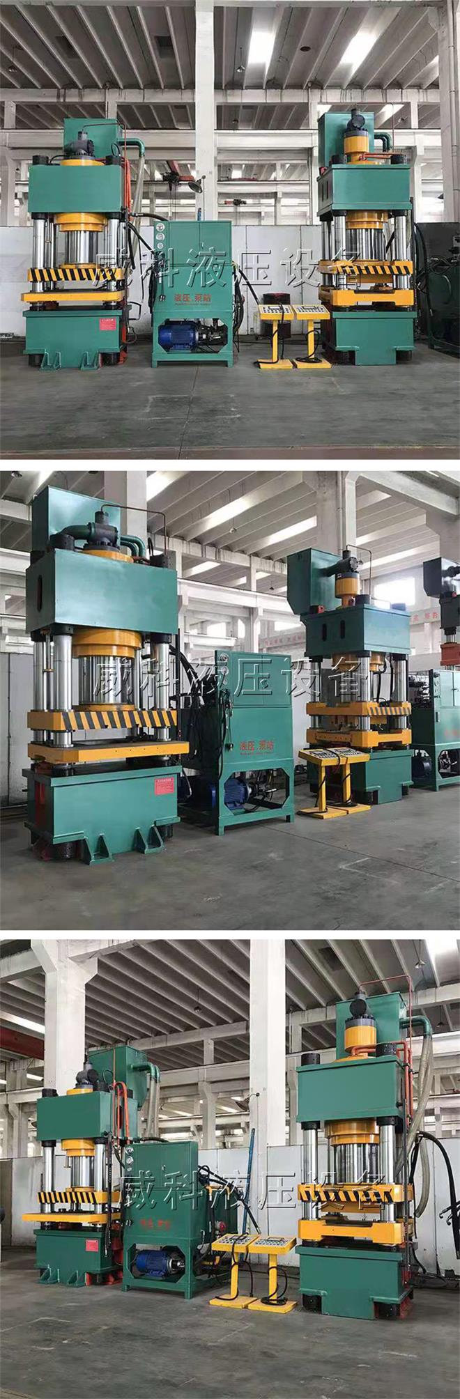 定製生産雙色魚餌壓塊液壓機